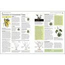 RHS Pruning And Training - Revised New Edition Over 800 Plants - What When And How To Prune