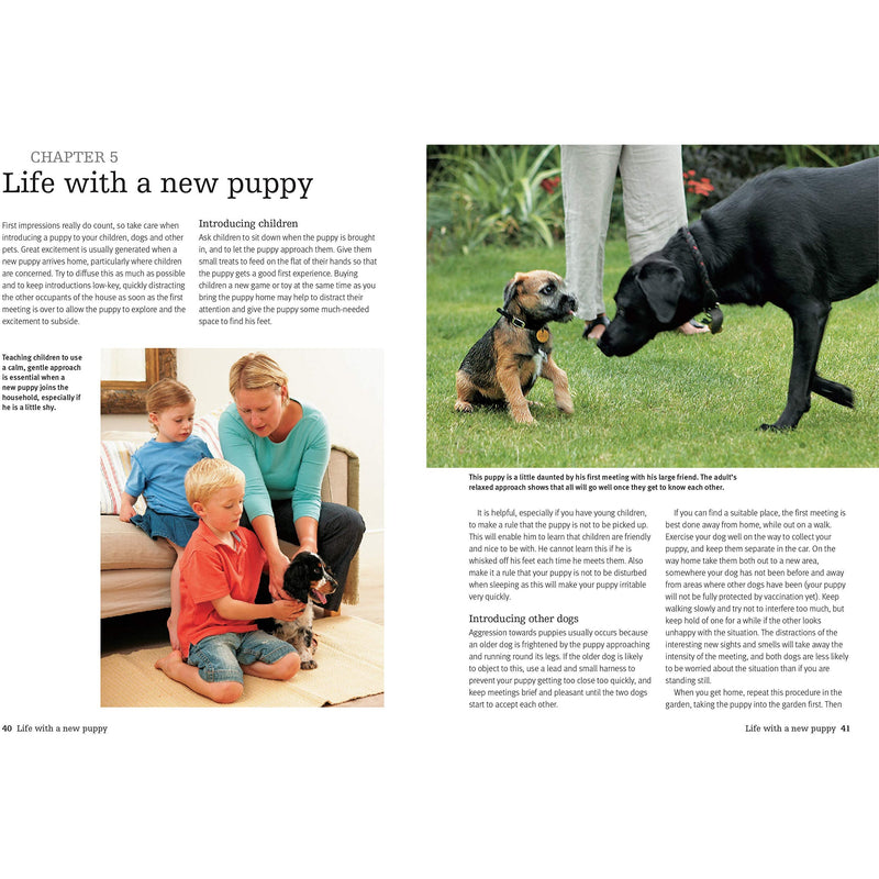 The Perfect Puppy: Take Britain's Number One Puppy Care Book With You by Gwen Bailey